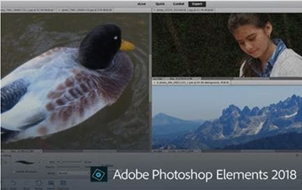 does adobe photoshop elements 2018 work with 10.13